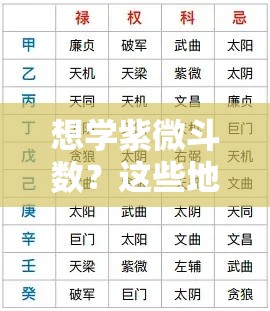 想学紫微斗数？这些地方的人都在悄悄研究