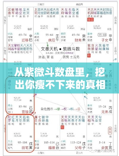 从紫微斗数盘里，挖出你瘦不下来的真相