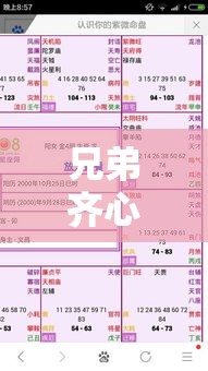 兄弟齐心还是互拖后腿？紫微斗数看左辅右弼同宫的秘密