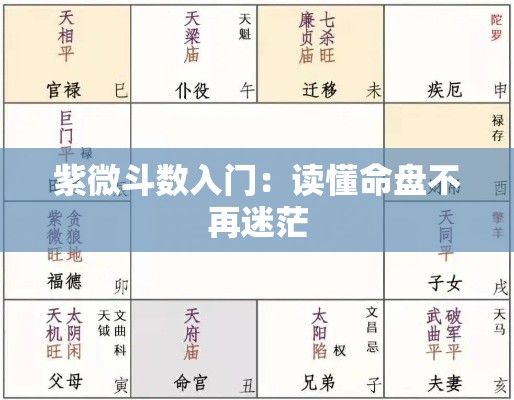 紫微斗数入门：读懂命盘不再迷茫
