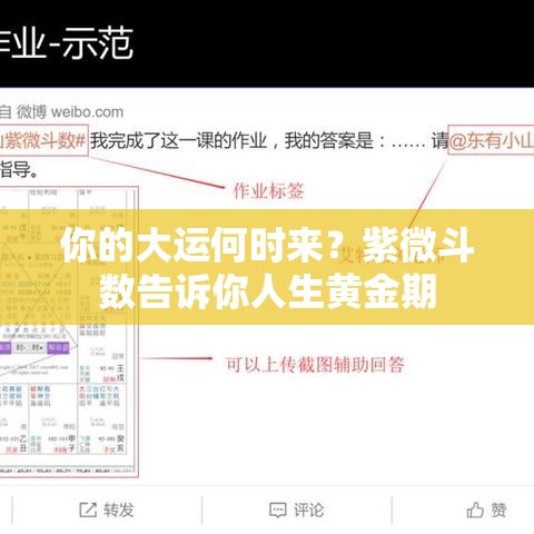 你的大运何时来？紫微斗数告诉你人生黄金期