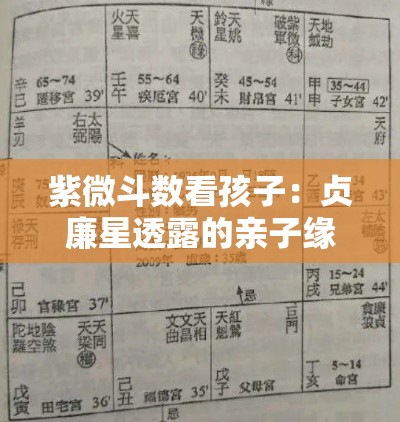 紫微斗数看孩子：贞廉星透露的亲子缘分