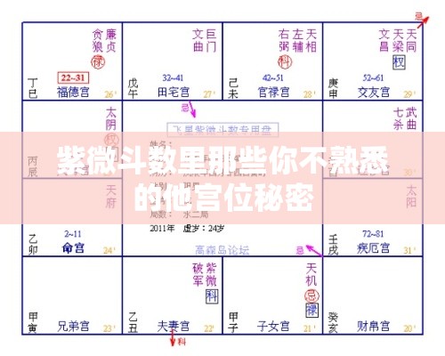 紫微斗数里那些你不熟悉的他宫位秘密
