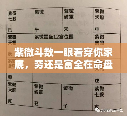 紫微斗数一眼看穿你家底，穷还是富全在命盘里