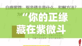 “你的正缘藏在紫微斗数哪一宫？看完就懂了”