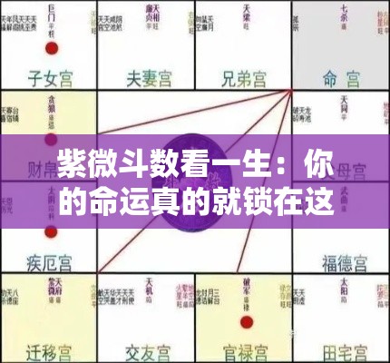 紫微斗数看一生：你的命运真的就锁在这几宫里吗？