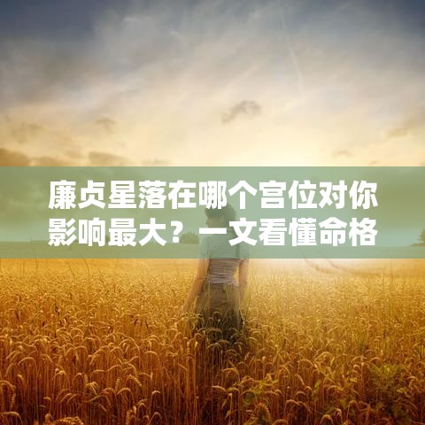 廉贞星落在哪个宫位对你影响最大？一文看懂命格关键