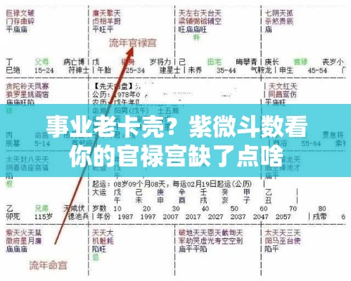 事业老卡壳？紫微斗数看你的官禄宫缺了点啥