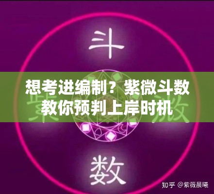 想考进编制？紫微斗数教你预判上岸时机