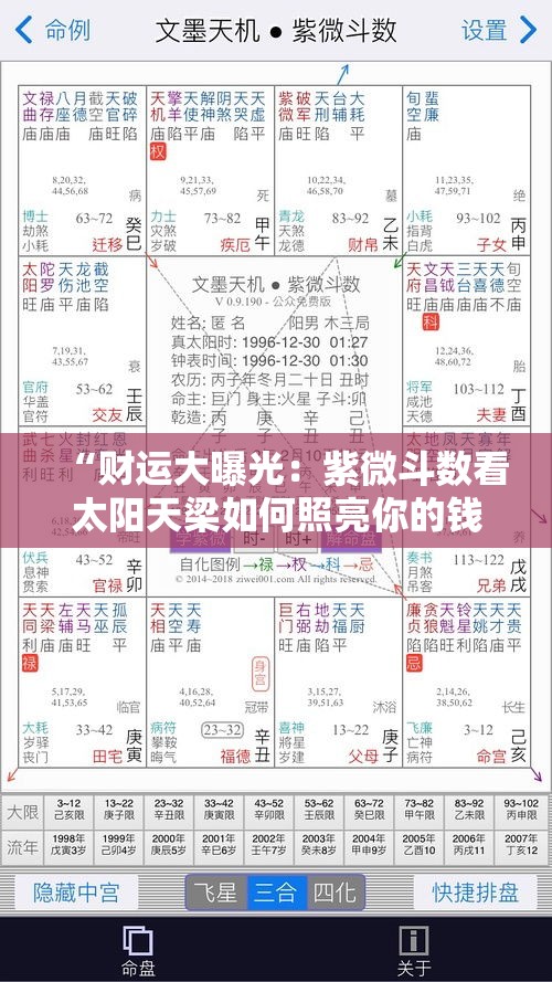 “财运大曝光：紫微斗数看太阳天梁如何照亮你的钱袋子”