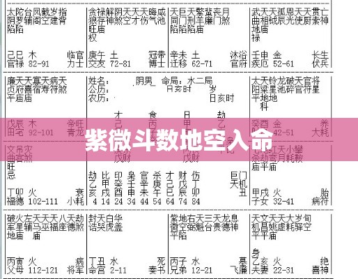 紫微斗数地空入命
