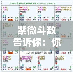 紫微斗数告诉你：你的职业运势藏在哪里