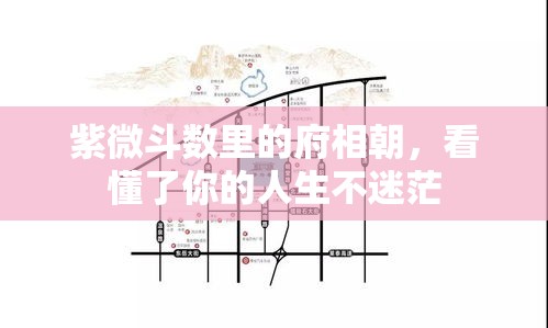 紫微斗数里的府相朝，看懂了你的人生不迷茫