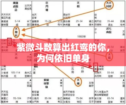 紫微斗数算出红鸾的你，为何依旧单身