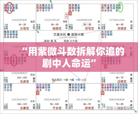 “用紫微斗数拆解你追的剧中人命运”