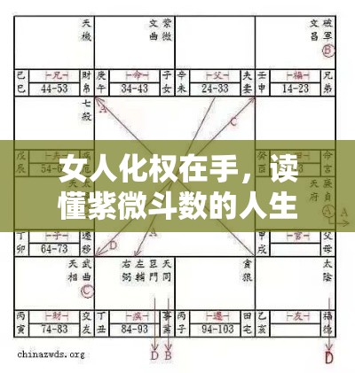 女人化权在手，读懂紫微斗数的人生剧本