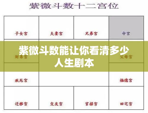 紫微斗数能让你看清多少人生剧本
