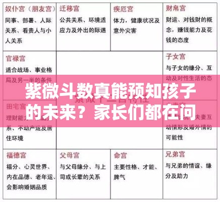 紫微斗数真能预知孩子的未来？家长们都在问