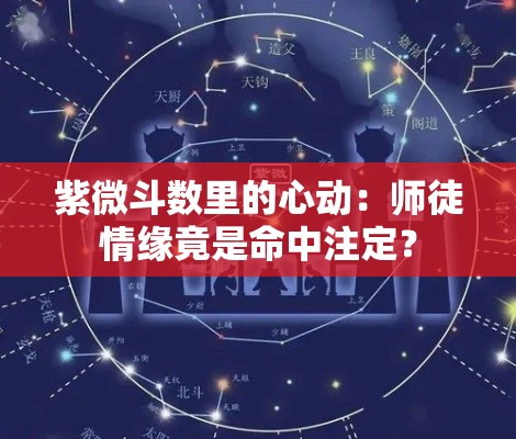 紫微斗数里的心动：师徒情缘竟是命中注定？