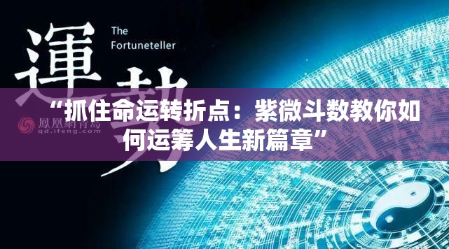 “抓住命运转折点：紫微斗数教你如何运筹人生新篇章”