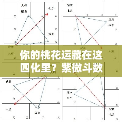 你的桃花运藏在这四化里？紫微斗数解析感情走向