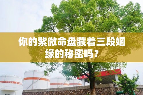 你的紫微命盘藏着三段姻缘的秘密吗？