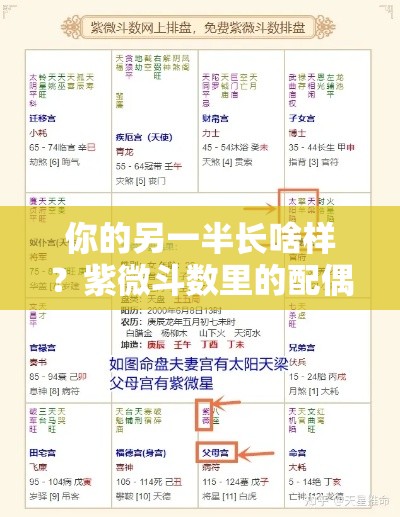 你的另一半长啥样？紫微斗数里的配偶画像