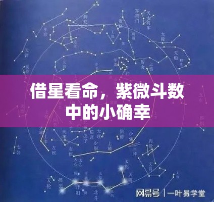 借星看命，紫微斗数中的小确幸