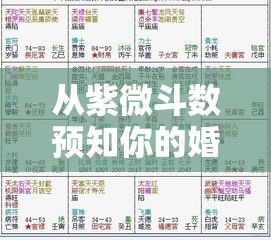 从紫微斗数预知你的婚姻缘分