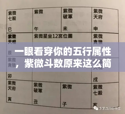 一眼看穿你的五行属性，紫微斗数原来这么简单！