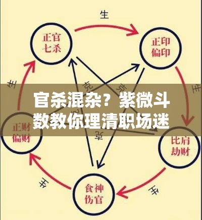 官杀混杂？紫微斗数教你理清职场迷雾