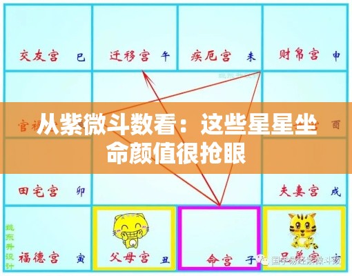 从紫微斗数看：这些星星坐命颜值很抢眼