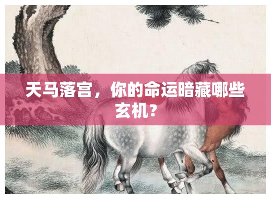 天马落宫，你的命运暗藏哪些玄机？