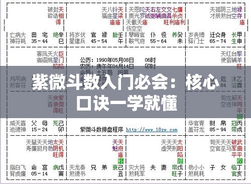 紫微斗数入门必会：核心口诀一学就懂