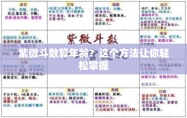 紫微斗数算年龄？这个方法让你轻松掌握