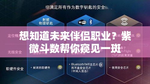 想知道未来伴侣职业？紫微斗数帮你窥见一斑