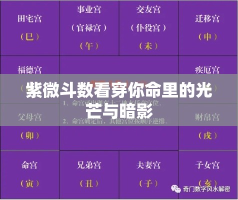紫微斗数看穿你命里的光芒与暗影