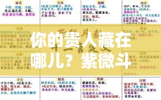 你的贵人藏在哪儿？紫微斗数解读交友宫与子女宫的人脉玄机