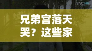 兄弟宫落天哭？这些家宅隐患你可能还没发现