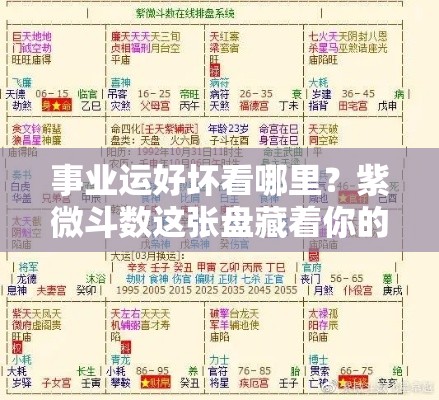事业运好坏看哪里？紫微斗数这张盘藏着你的前程