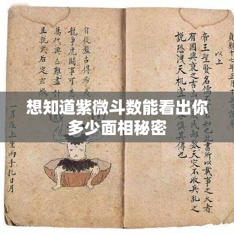 想知道紫微斗数能看出你多少面相秘密