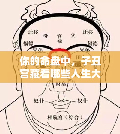你的命盘中，子丑宫藏着哪些人生大戏？