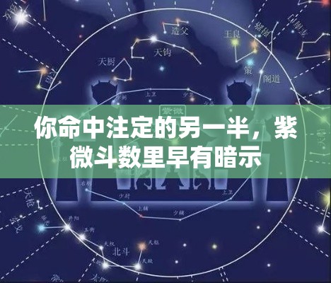 你命中注定的另一半，紫微斗数里早有暗示