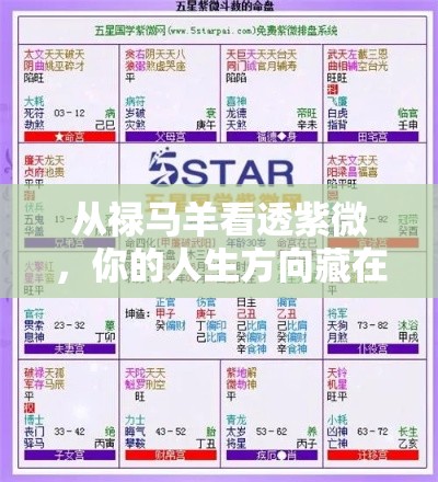 从禄马羊看透紫微，你的人生方向藏在这几颗星