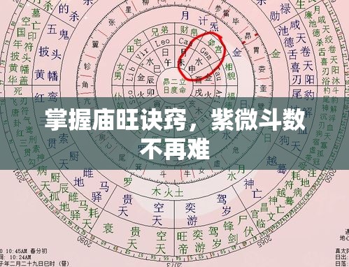 掌握庙旺诀窍，紫微斗数不再难