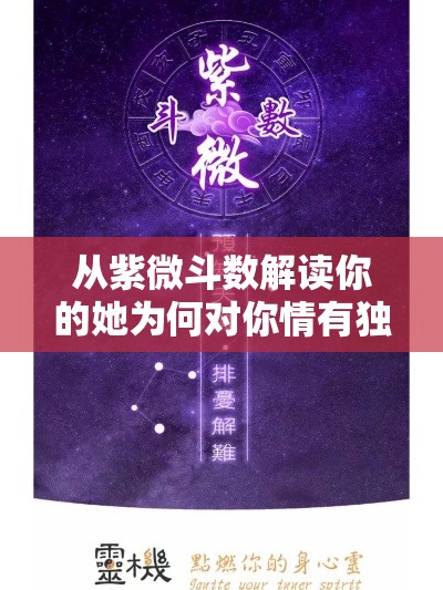 从紫微斗数解读你的她为何对你情有独钟