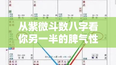 从紫微斗数八字看你另一半的脾气性格，婚姻好坏早知晓