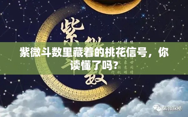 紫微斗数里藏着的桃花信号，你读懂了吗？