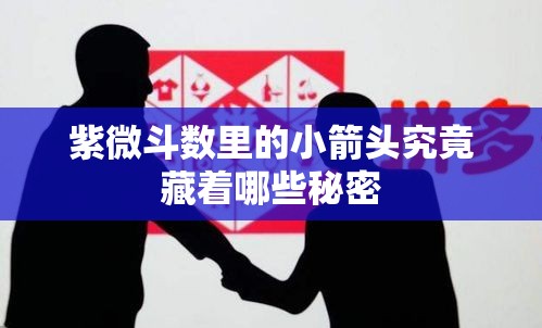 紫微斗数里的小箭头究竟藏着哪些秘密
