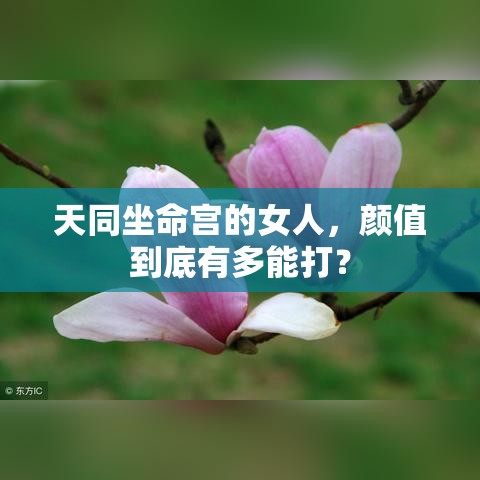 天同坐命宫的女人，颜值到底有多能打？